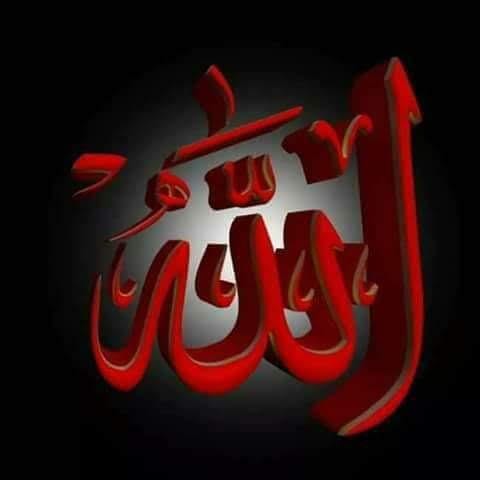 Ahmed Elsayed_OcHIv